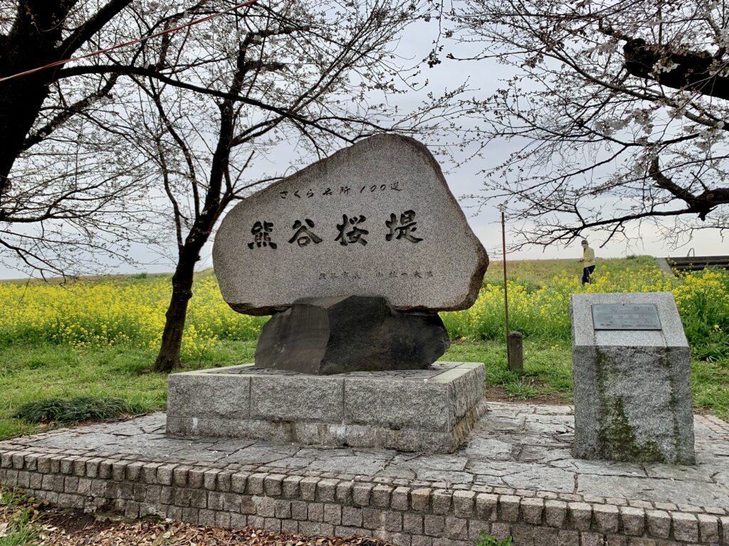 熊谷桜堤